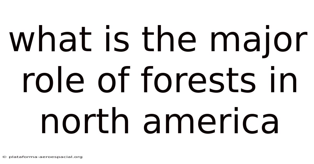 What Is The Major Role Of Forests In North America