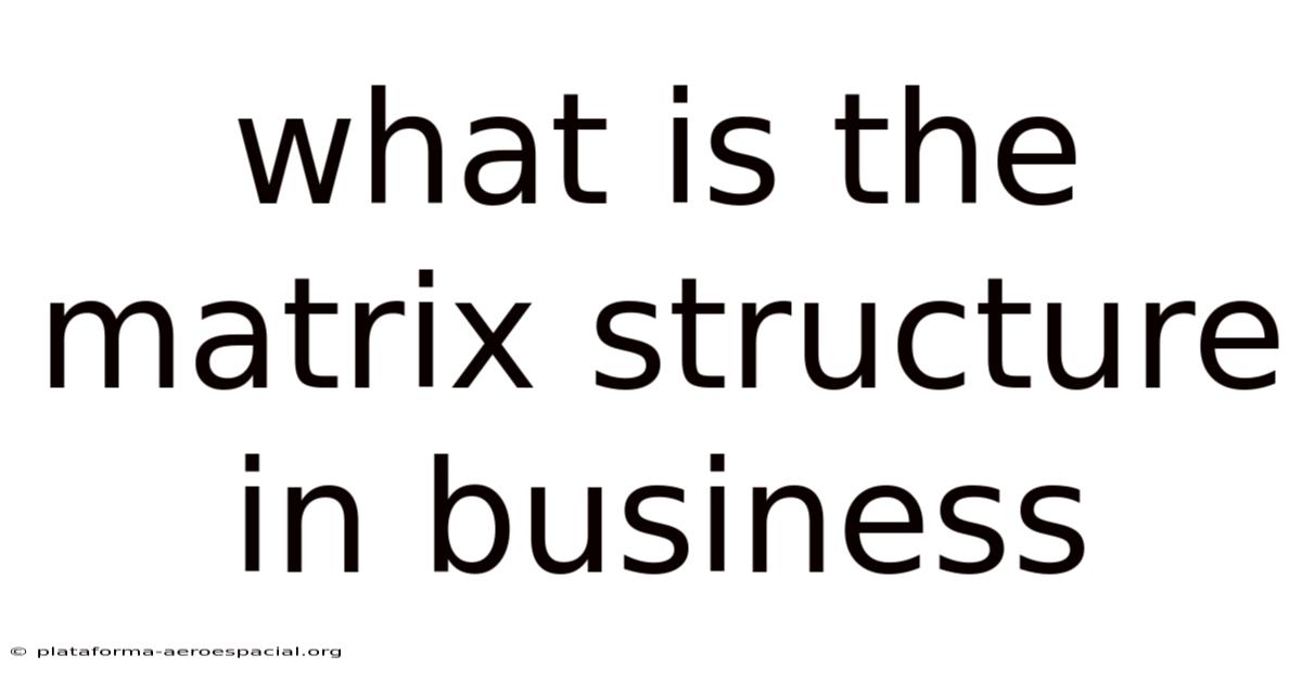 What Is The Matrix Structure In Business
