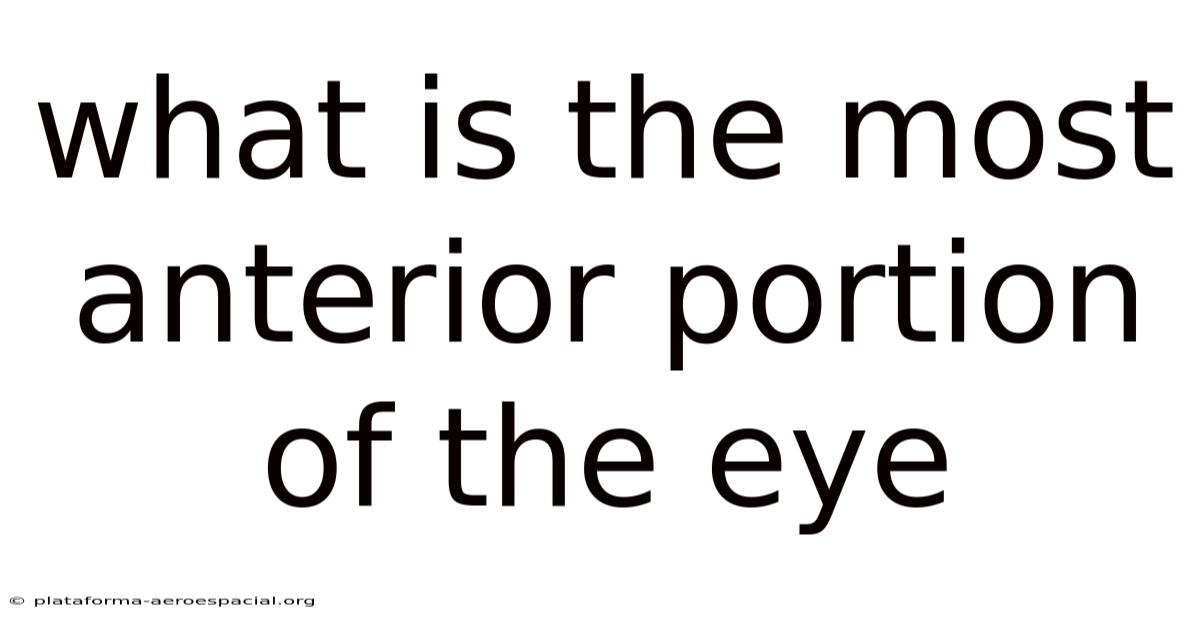 What Is The Most Anterior Portion Of The Eye