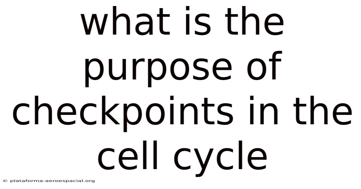 What Is The Purpose Of Checkpoints In The Cell Cycle