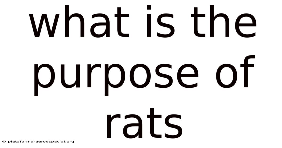 What Is The Purpose Of Rats