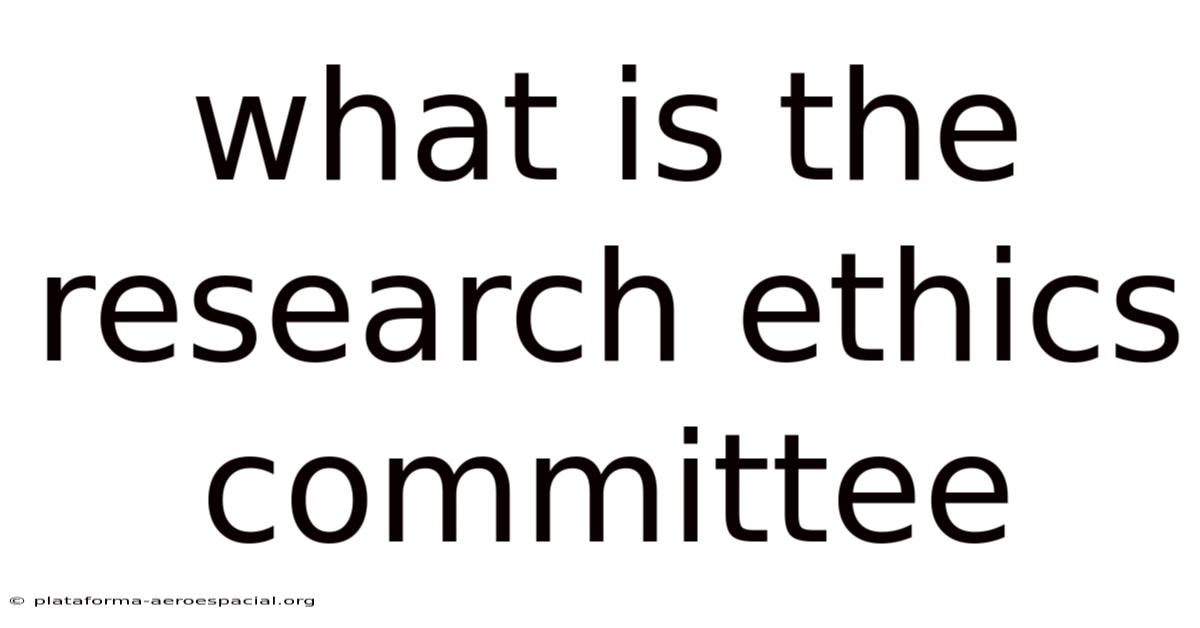 What Is The Research Ethics Committee