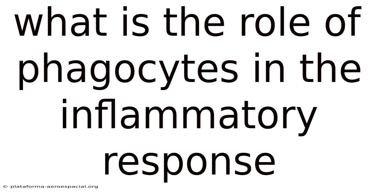 What Is The Role Of Phagocytes In The Inflammatory Response