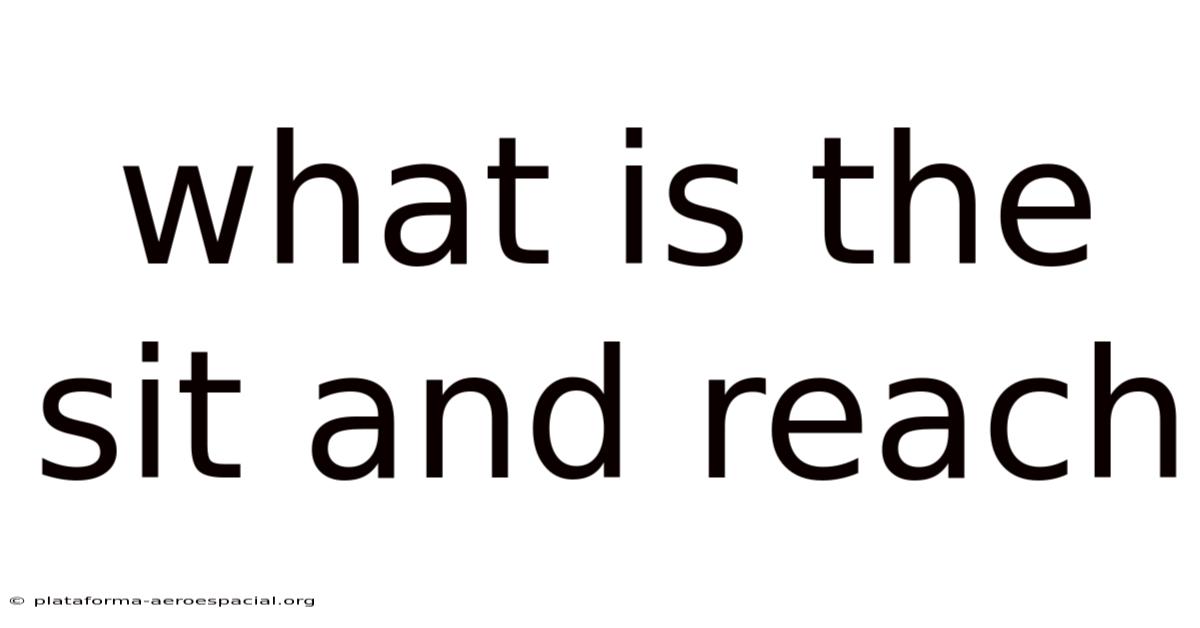 What Is The Sit And Reach
