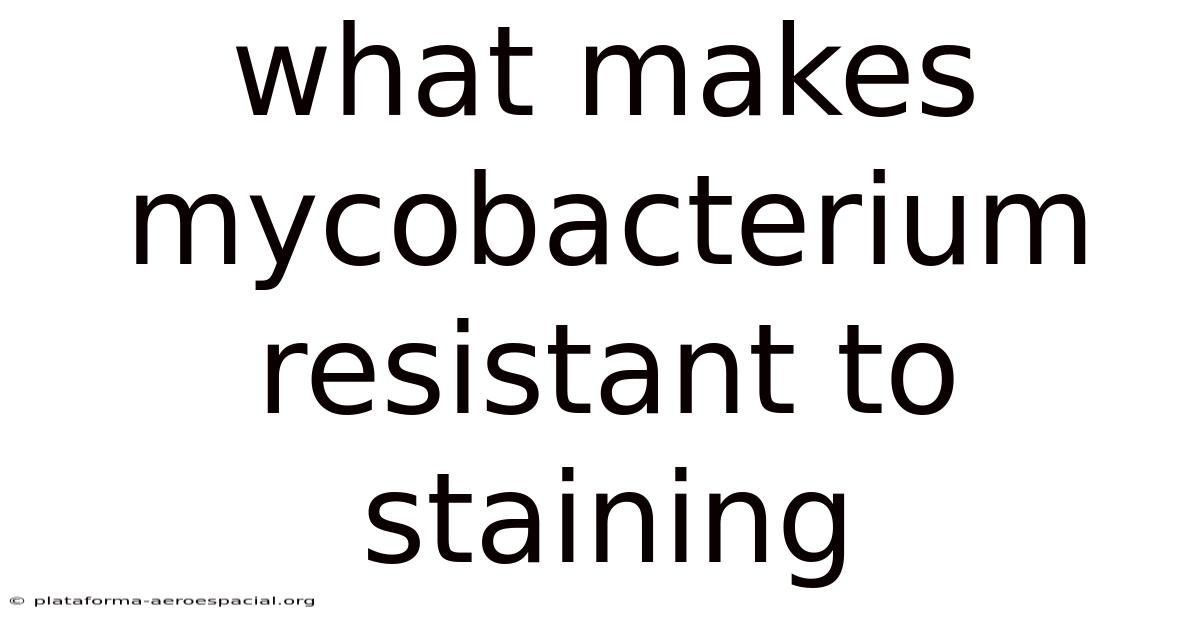 What Makes Mycobacterium Resistant To Staining