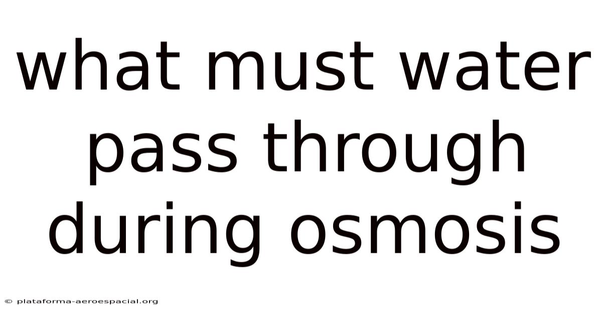 What Must Water Pass Through During Osmosis