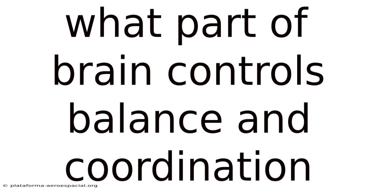What Part Of Brain Controls Balance And Coordination