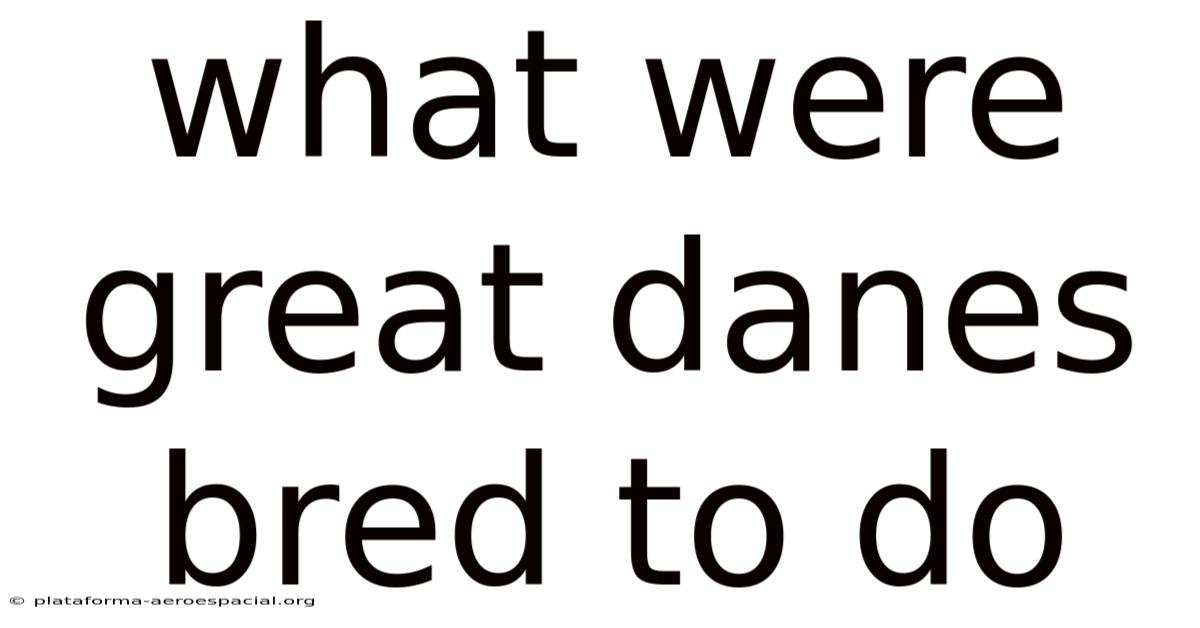 What Were Great Danes Bred To Do
