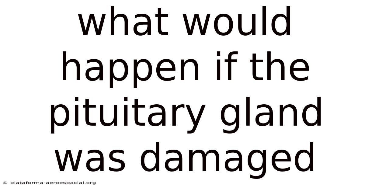 What Would Happen If The Pituitary Gland Was Damaged