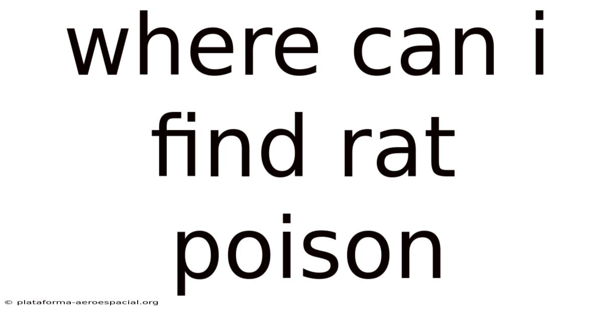 Where Can I Find Rat Poison