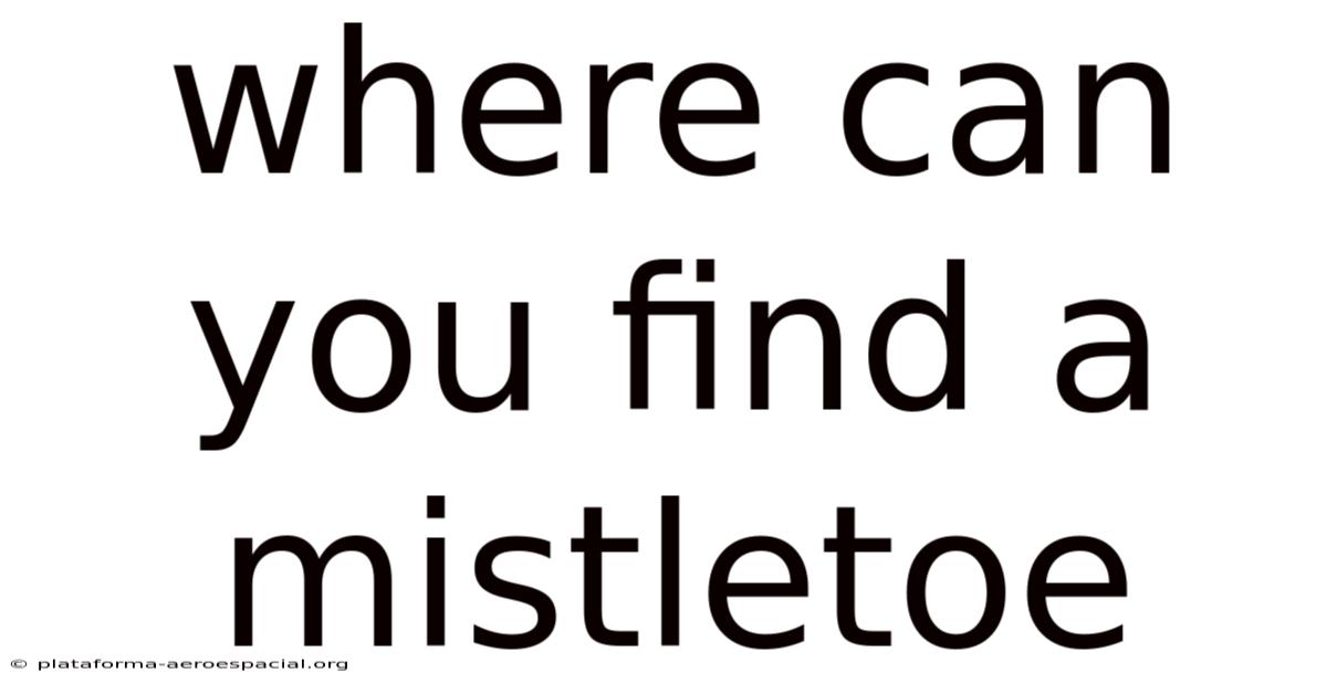 Where Can You Find A Mistletoe
