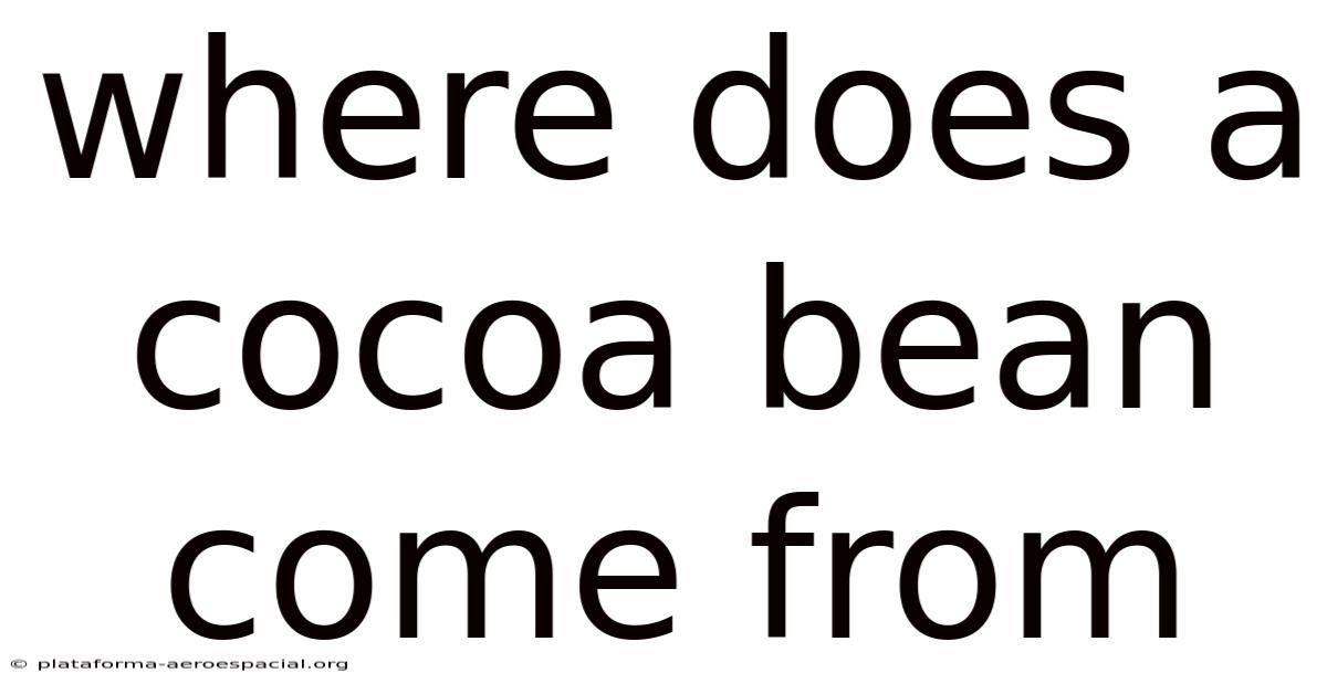 Where Does A Cocoa Bean Come From