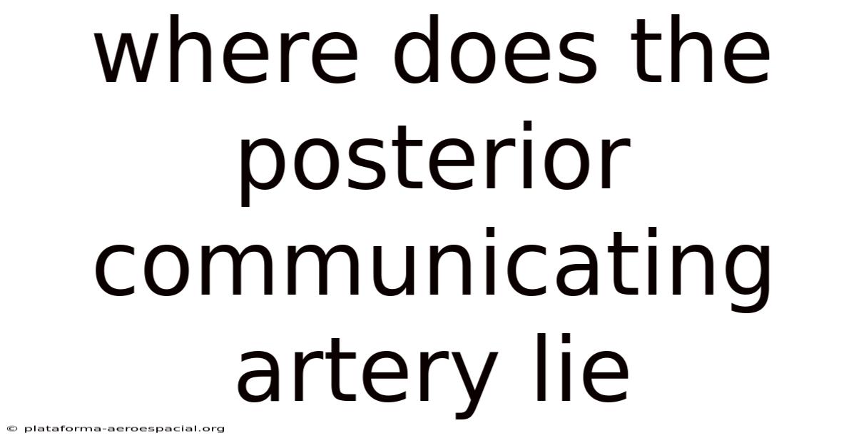 Where Does The Posterior Communicating Artery Lie