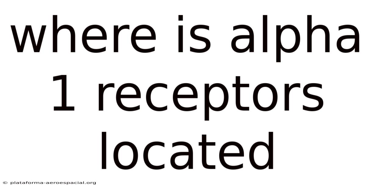 Where Is Alpha 1 Receptors Located