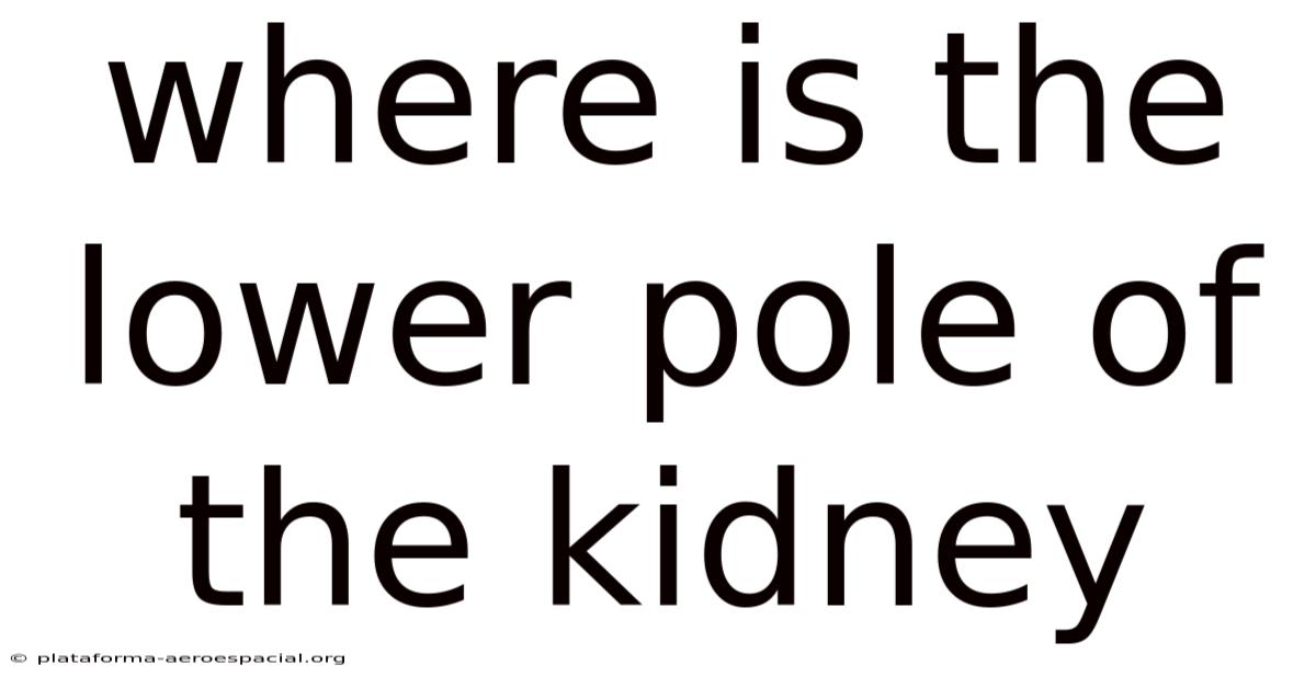 Where Is The Lower Pole Of The Kidney