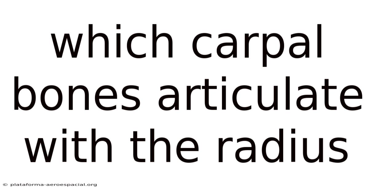 Which Carpal Bones Articulate With The Radius