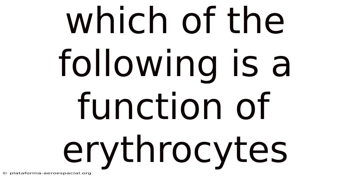 Which Of The Following Is A Function Of Erythrocytes