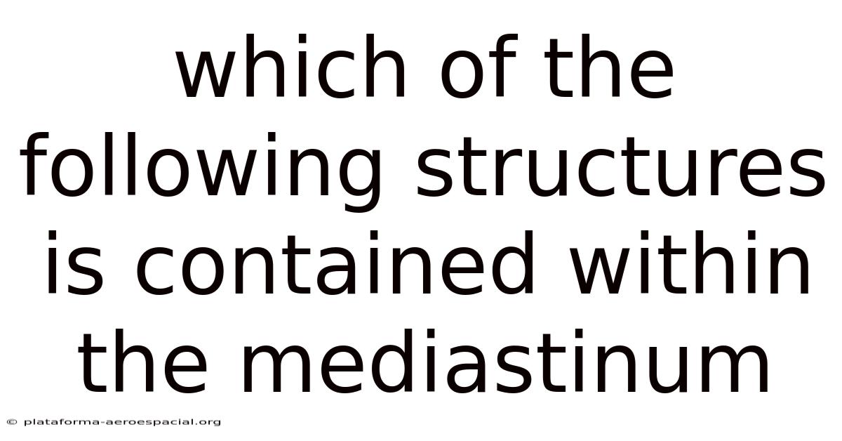 Which Of The Following Structures Is Contained Within The Mediastinum