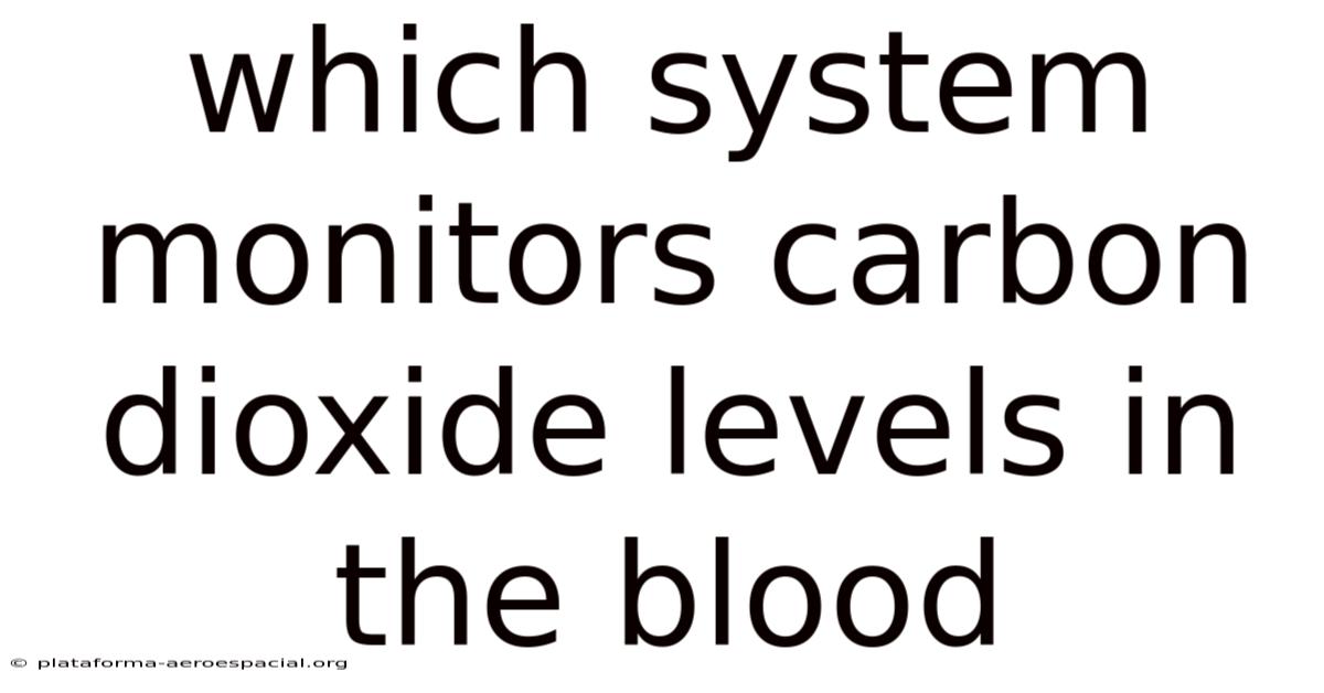 Which System Monitors Carbon Dioxide Levels In The Blood