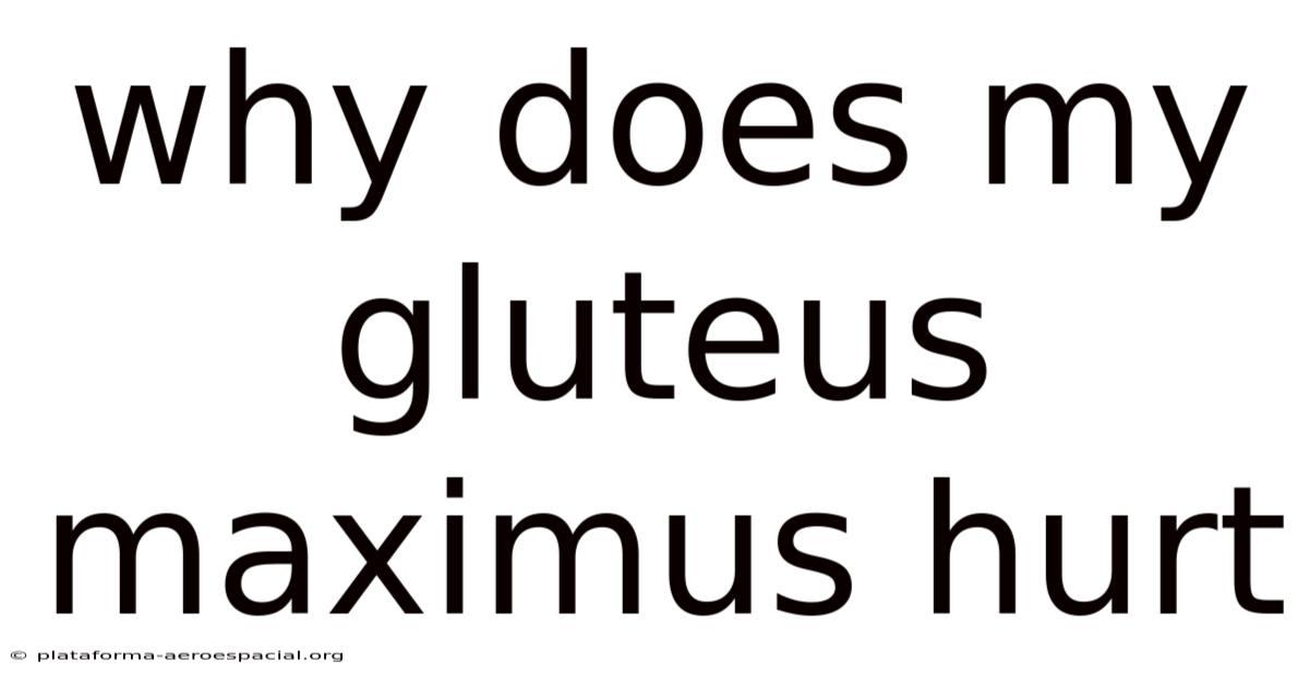 Why Does My Gluteus Maximus Hurt